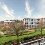 Rent 4 bedroom apartment of 79 m² in Birmingham