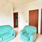 Rent 3 bedroom apartment of 90 m² in Milano