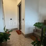 Rent 2 bedroom apartment of 50 m² in L'Aquila