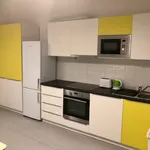 Rent 4 bedroom apartment in Prague