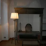 Rent 3 bedroom apartment of 80 m² in Firenze