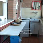 Rent 3 bedroom apartment of 65 m² in Livorno