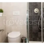 Rent 1 bedroom apartment of 40 m² in Milano