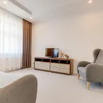 Rent 1 bedroom apartment of 60 m² in Prague