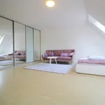 Rent 4 bedroom apartment of 211 m² in celadna