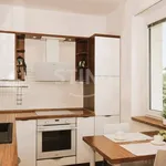 Rent 3 bedroom apartment in Zlín