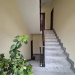 Rent 3 bedroom apartment of 75 m² in Turin