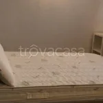 Rent 2 bedroom apartment of 55 m² in Torino