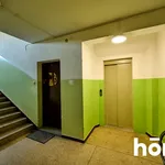 Rent 2 bedroom apartment of 57 m² in Wrocław