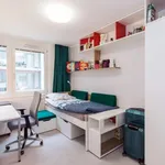 Miete 1 Schlafzimmer wohnung in Vienna