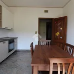 Rent 4 bedroom apartment of 100 m² in Brindisi