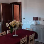 Rent 1 bedroom apartment of 120 m² in Cavallino