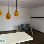 Rent 3 bedroom apartment of 135 m² in Varese