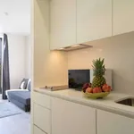 Rent 1 bedroom apartment in porto