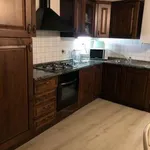 Rent 4 bedroom apartment of 100 m² in Florence