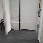 Rent 3 bedroom apartment of 80 m² in Turin