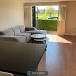 Rent 1 bedroom apartment in East Of England