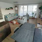 Pronajměte si 3 ložnic/e byt o rozloze 101 m² v Pilsen