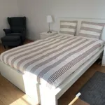 Rent 1 bedroom apartment in Lisbon