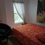 Rent 3 bedroom house in Petaluma