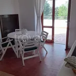 Rent 3 bedroom apartment of 75 m² in Sabaudia