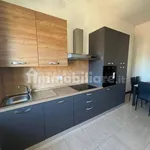 Rent 4 bedroom apartment of 120 m² in Perugia