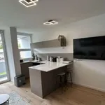 Rent 1 bedroom apartment of 34 m² in munich