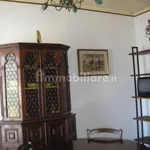 Rent 2 bedroom apartment of 49 m² in Turin