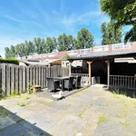 Rent 5 bedroom house of 132 m² in Waterwijk Noord