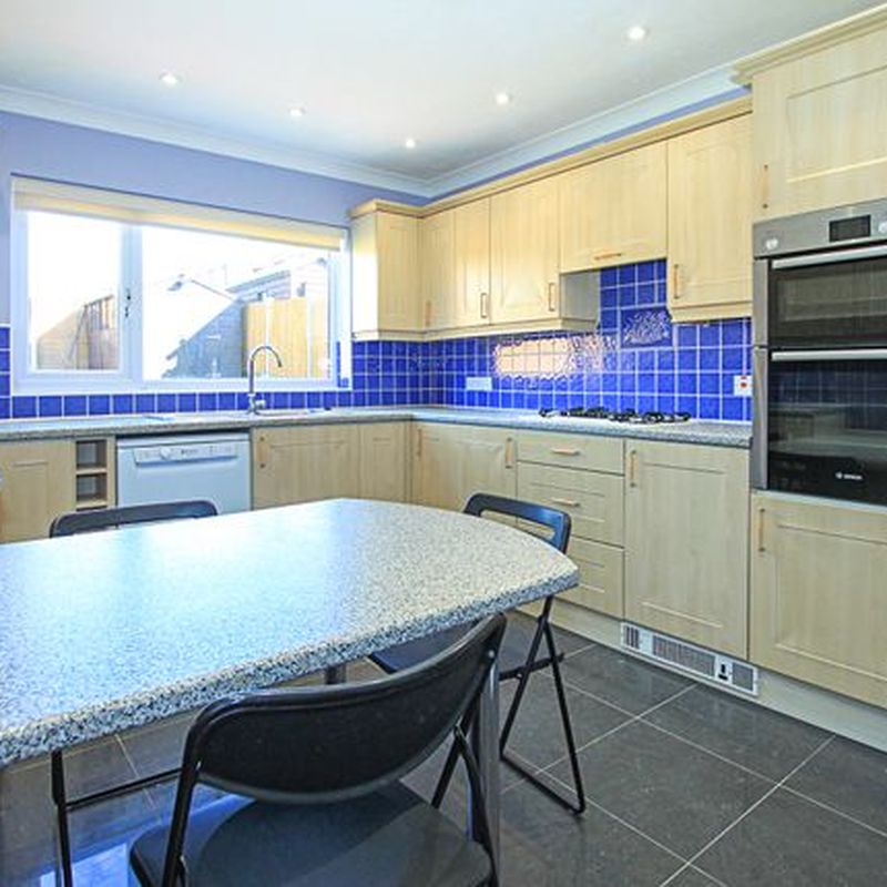 Semi-detached house to rent in Whitegates, Newmarket CB8 Drumpellier