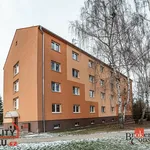 Rent 1 bedroom apartment in Kladno