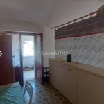 Rent 2 bedroom apartment of 50 m² in Ladispoli