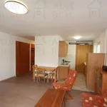 Rent 3 bedroom apartment of 79 m² in Brno