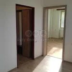 Rent 1 bedroom apartment of 45 m² in Hradec Králové