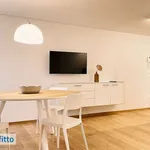 Rent 2 bedroom apartment of 70 m² in Treviso