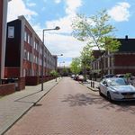 Rent a room of 120 m² in Den Haag