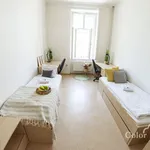 Rent 1 bedroom apartment of 15 m² in Brno