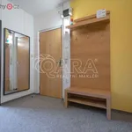 Rent 4 bedroom apartment of 77 m² in Trhový Štěpánov