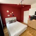 Pronajměte si 1 ložnic/e byt o rozloze 24 m² v Prague