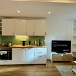 Rent 1 bedroom apartment of 50 m² in Prague