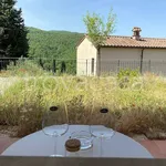 Rent 3 bedroom apartment of 99 m² in Radda in Chianti