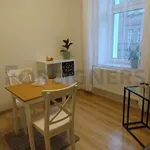 Rent 1 bedroom apartment of 33 m² in Pilsen