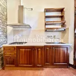 Rent 5 bedroom apartment of 200 m² in Siena