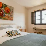 Rent a room in Piñeiro