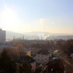 Rent 1 bedroom apartment in Ústí nad Labem