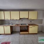 Rent 1 bedroom apartment in Saint-Privat