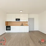 Pronajměte si 1 ložnic/e byt o rozloze 54 m² v Pilsen