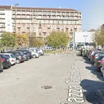 Rent 1 bedroom apartment of 35 m² in Torino