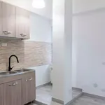 Rent 5 bedroom apartment in Rome