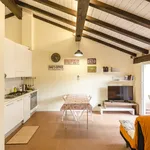 Rent 2 bedroom apartment of 49 m² in Bologna